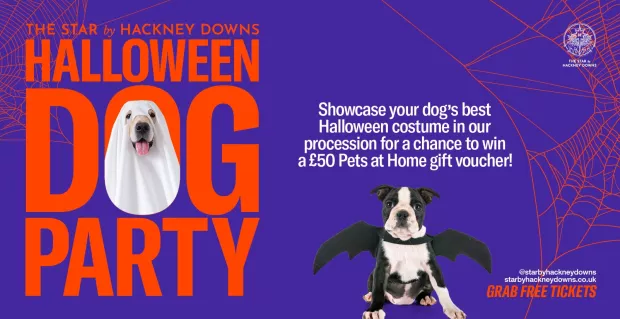 The Star by Hackney Downs Annual Halloween Dog Party! 🎃🐾