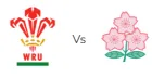 Wales VS Japan - The Nations Championship 2026