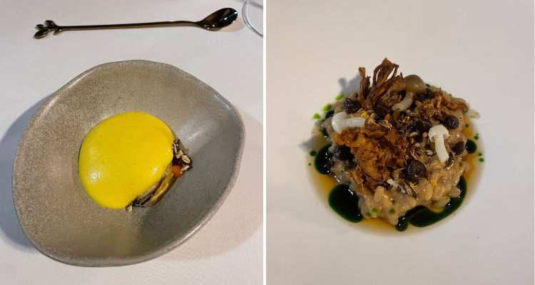 Fowey mussels course, and the mushroom-based Forest Floor course.